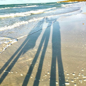 Meet your Posher, Thao